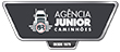 Agência Junior Caminhões logo