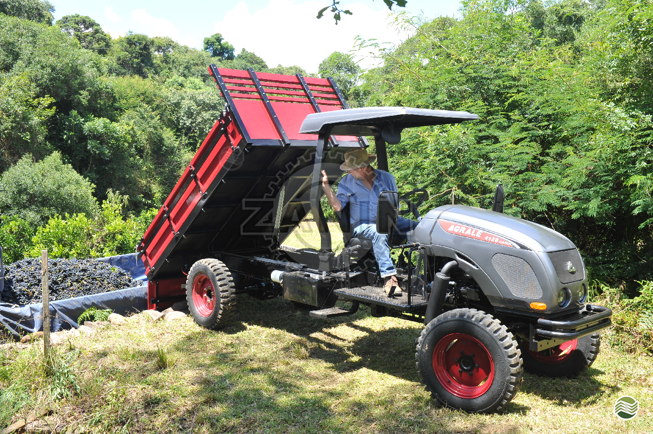 TRATOR AGRALE AGRALE 4125 CARGO Tração 4x4 Zanin Máquinas Agrícolas SAO SEBASTIAO DO PARAISO MINAS GERAIS MG