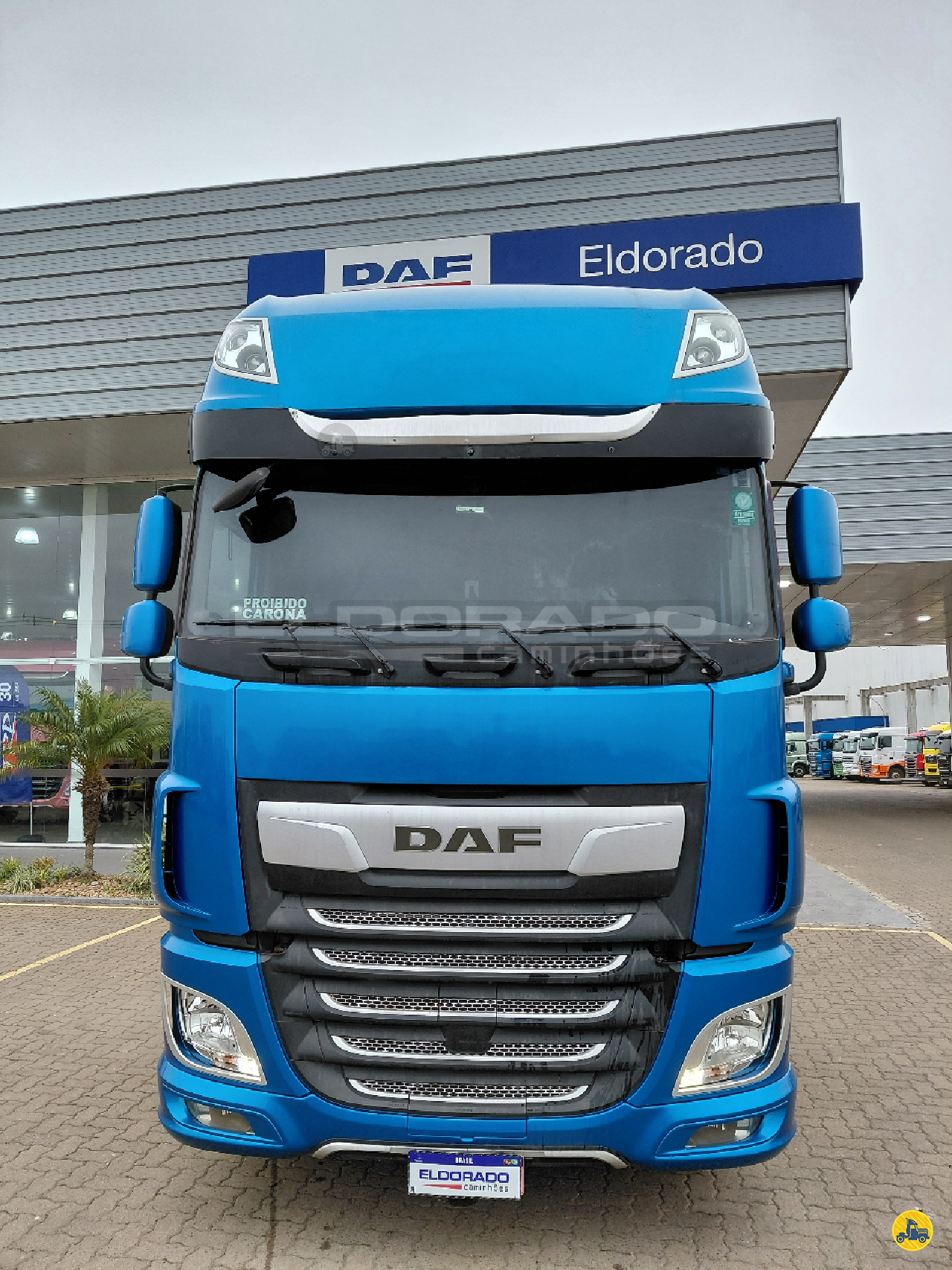 CAMINHAO DAF DAF XF FTS 480 Cavalo Mecânico Cavalo 6x2 Eldorado Caminhões - DAF ELDORADO DO SUL RIO GRANDE DO SUL RS