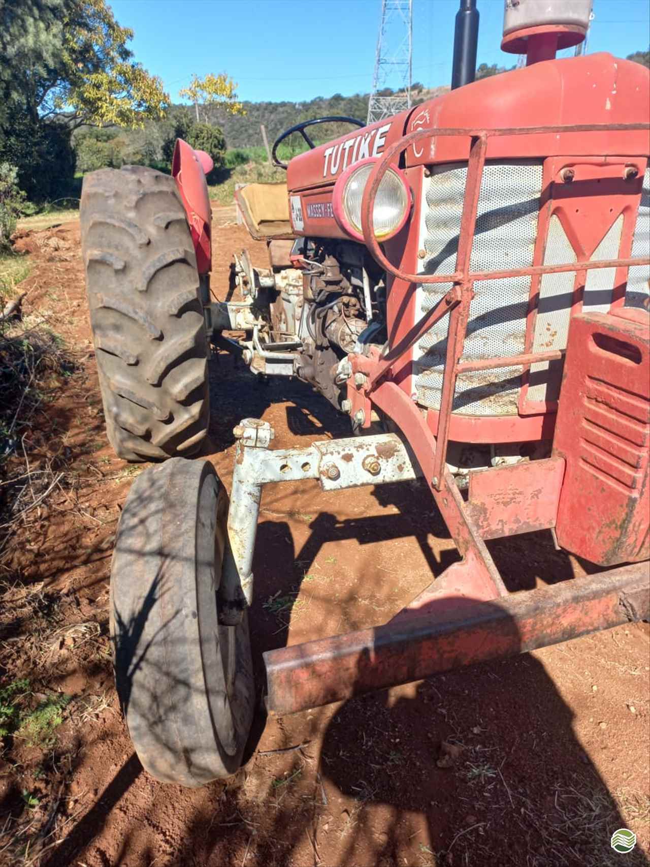 TRATOR MASSEY FERGUSON MF 55 Tração 4x2 Pedrinho Tratores CASTRO PARANÁ PR