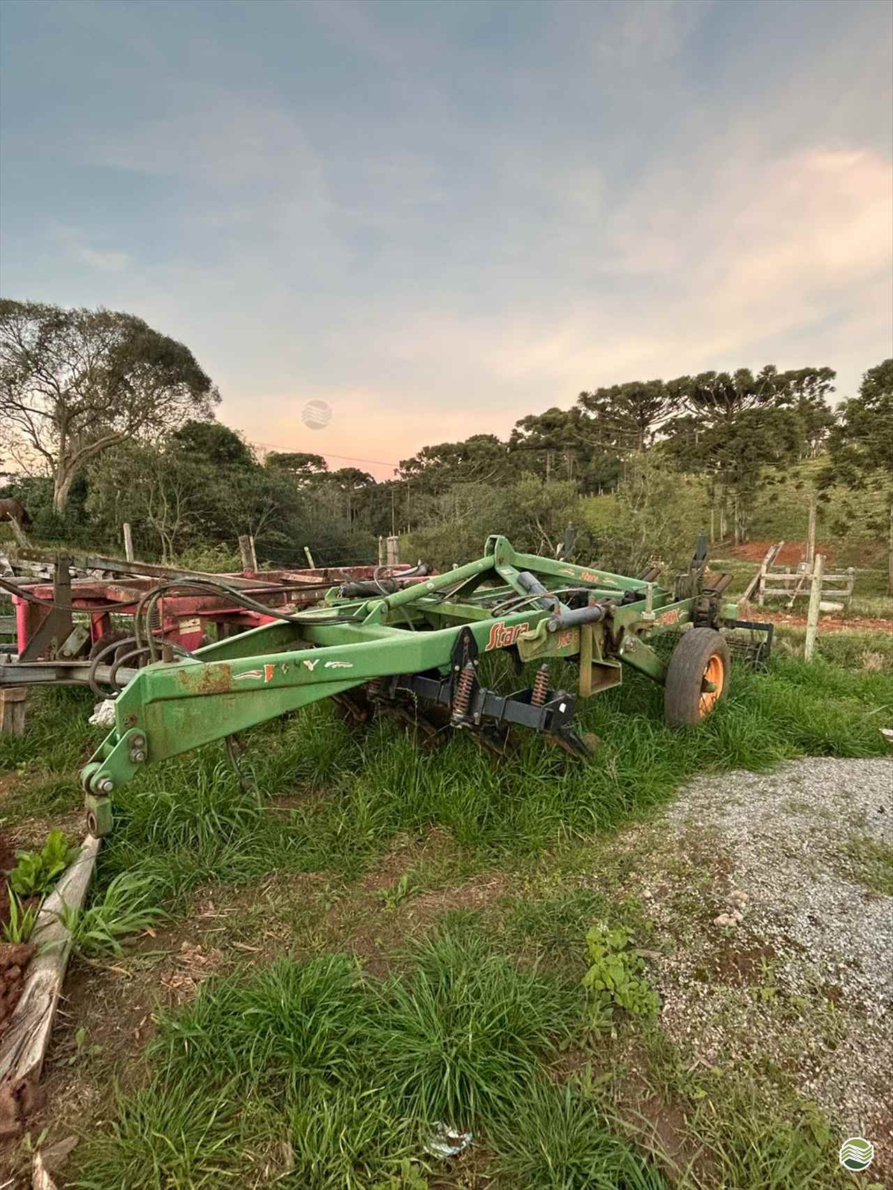 IMPLEMENTOS AGRICOLAS ESCARIFICADOR 7 HASTES DISCO CORTE Pedrinho Tratores CASTRO PARANÁ PR