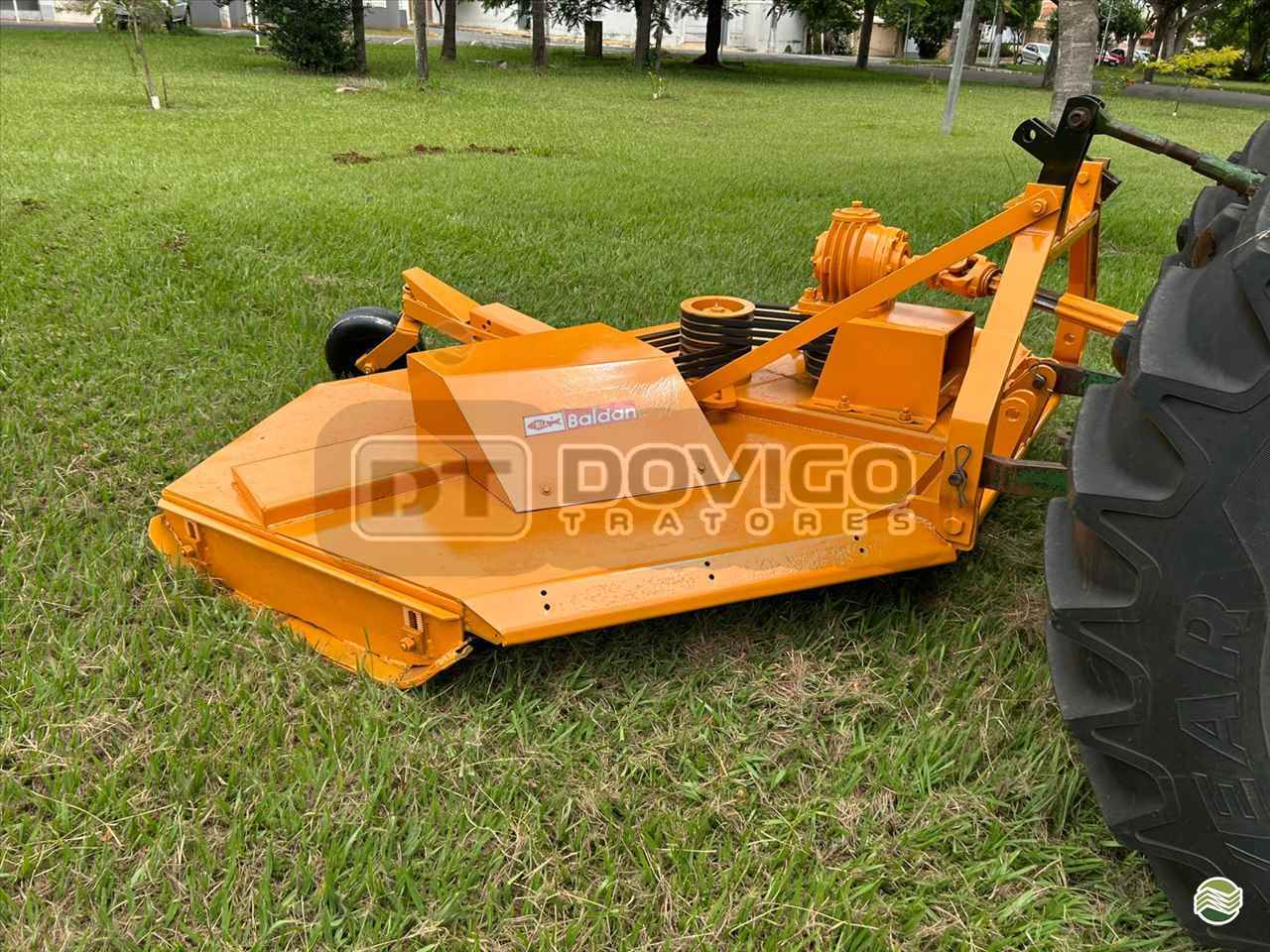 IMPLEMENTOS AGRICOLAS ROCADEIRA ROCADEIRA HIDRÁULICA DUPLA Dovigo Tratores ARTUR NOGUEIRA SÃO PAULO SP