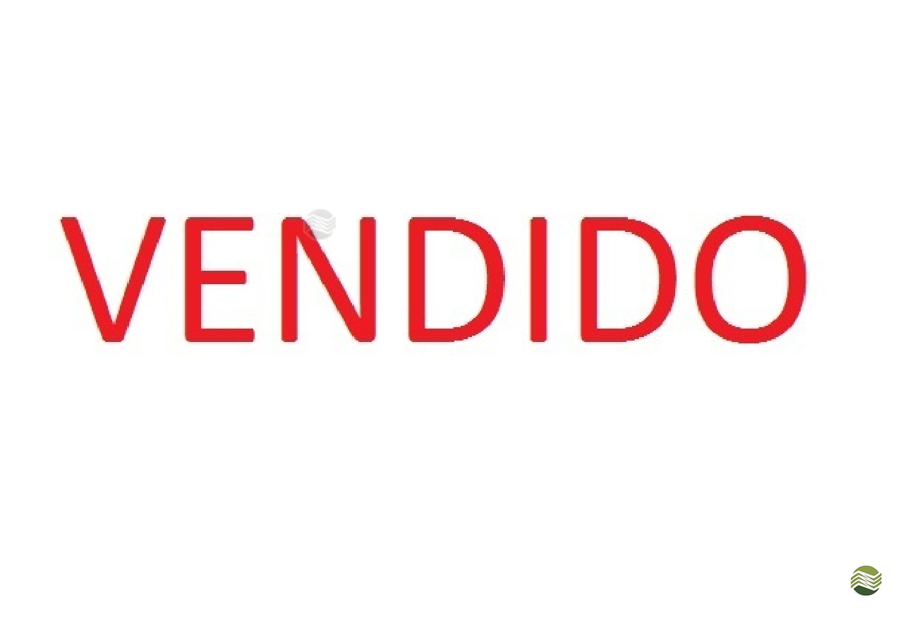 SEMEADEIRA VENCE TUDO PAMPEANA 28000