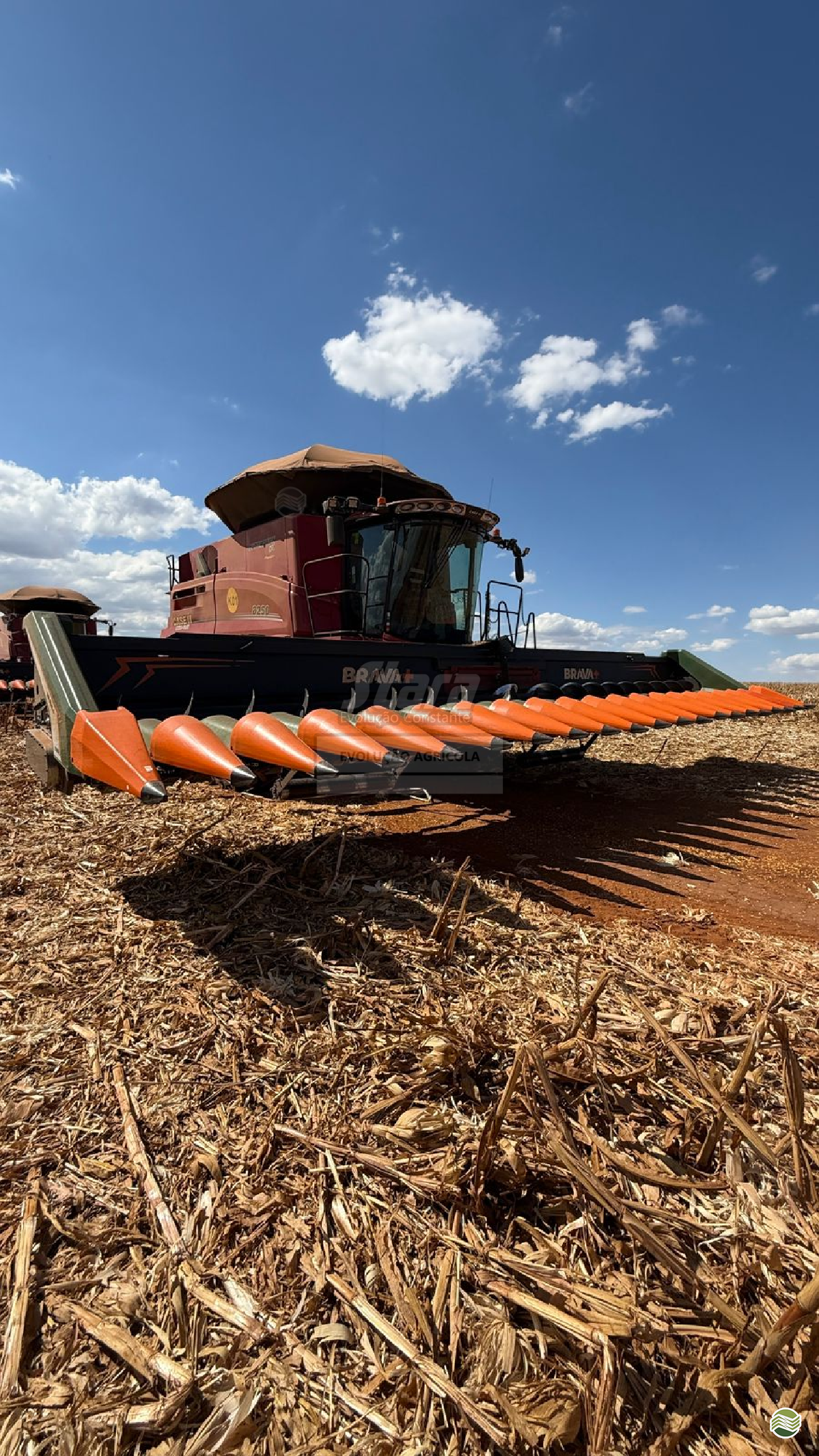 PLATAFORMA COLHEITADEIRA STARA BRAVA + Evolução Agrícola - Stara JATAI GOIAS GO