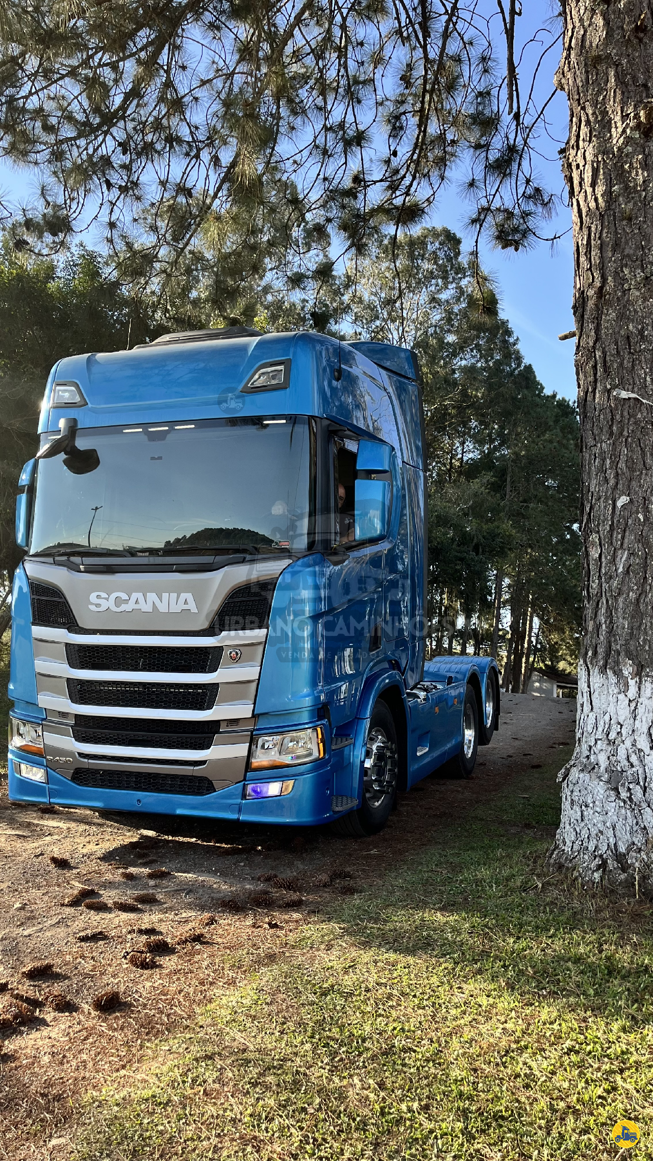 CAMINHAO SCANIA SCANIA R450 Cavalo Mecânico Cavalo 6x2 Urbano Caminhões CURITIBA PARANÁ PR
