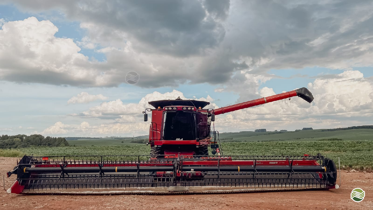COLHEITADEIRA CASE CASE 8120 Razera Seminovos - Fendt PASSO FUNDO RIO GRANDE DO SUL RS