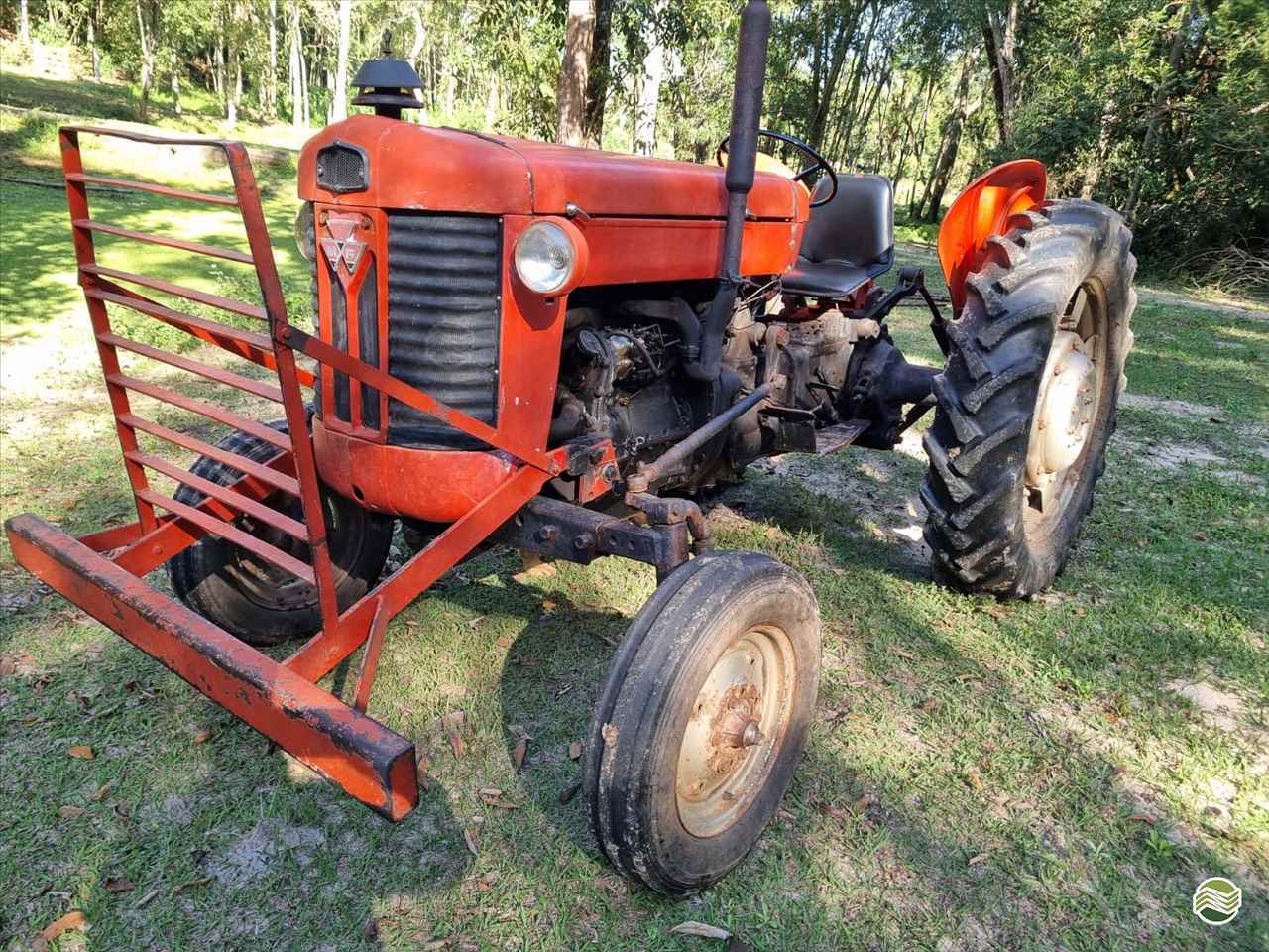 TRATOR MASSEY FERGUSON MF 65 Tração 4x2 Souza Neto Tratores e Implementos SAO MANUEL SÃO PAULO SP