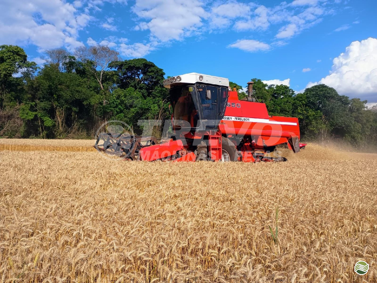 COLHEITADEIRA MASSEY FERGUSON MF 5650 Trevo Máquinas e Peças - Kuhn TENENTE PORTELA RIO GRANDE DO SUL RS
