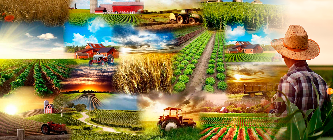 Jacó Comércio de Peças Agrícolas LTDA