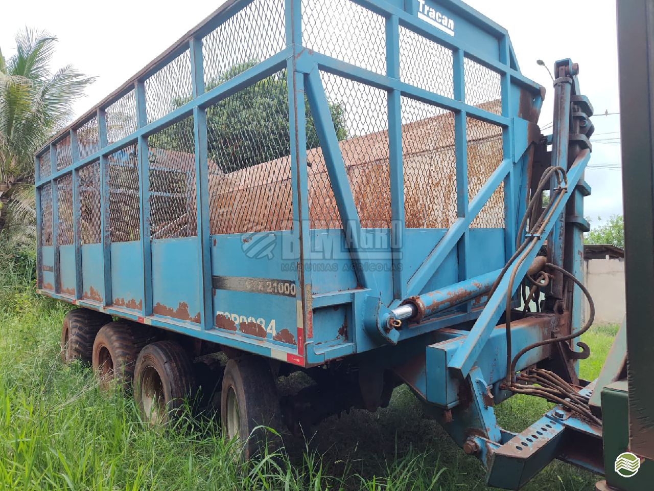 IMPLEMENTOS AGRICOLAS TRANSBORDO TRANSBORDO DE CANA PICADA BLM Agro PINDORAMA SÃO PAULO SP