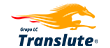 Translute Seminovos logo