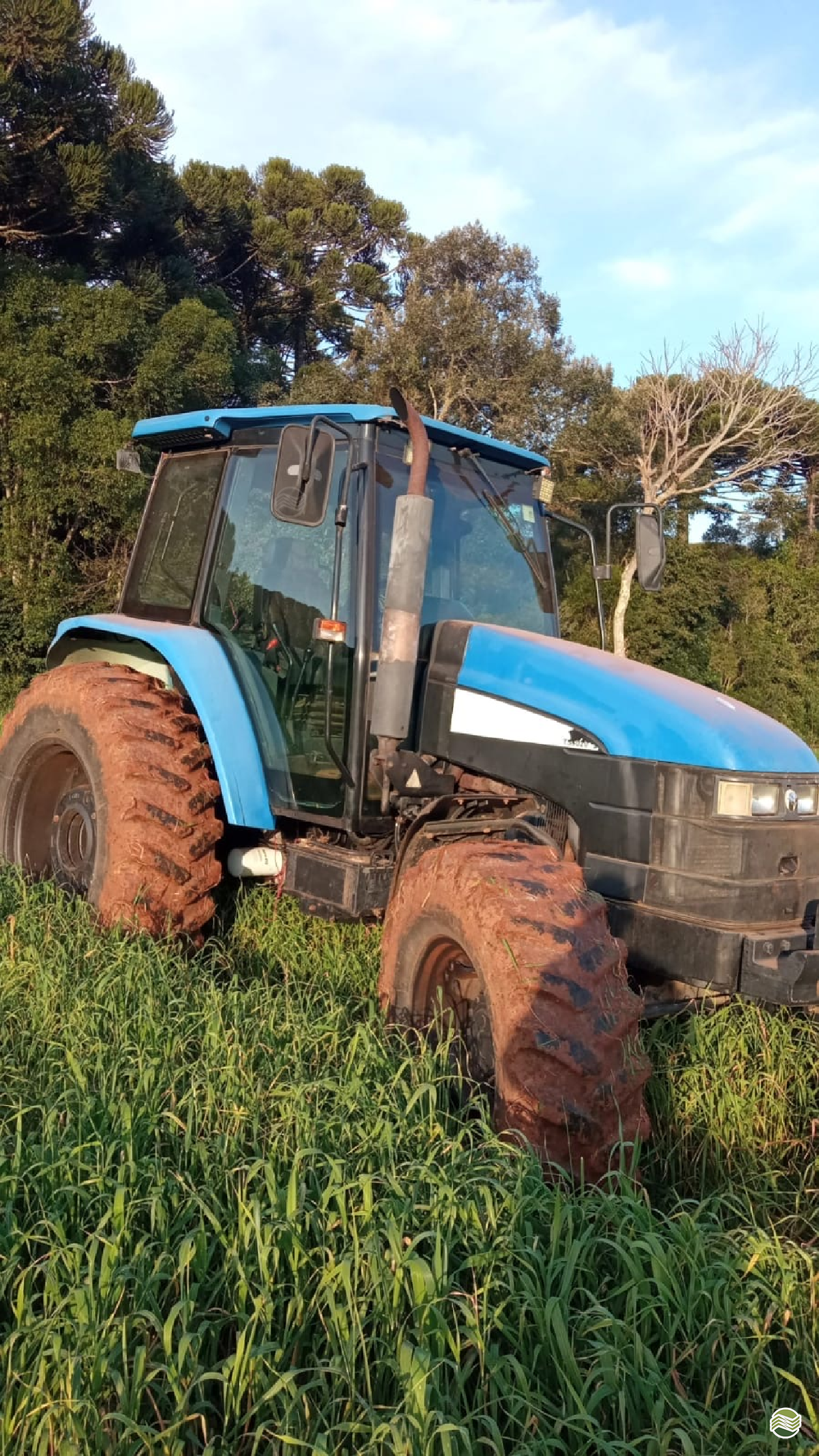 TRATOR NEW HOLLAND NEW TS 6020 Tração 4x4 Rafael Souza - Tudo Para Fazendas PONTA GROSSA PARANÁ PR