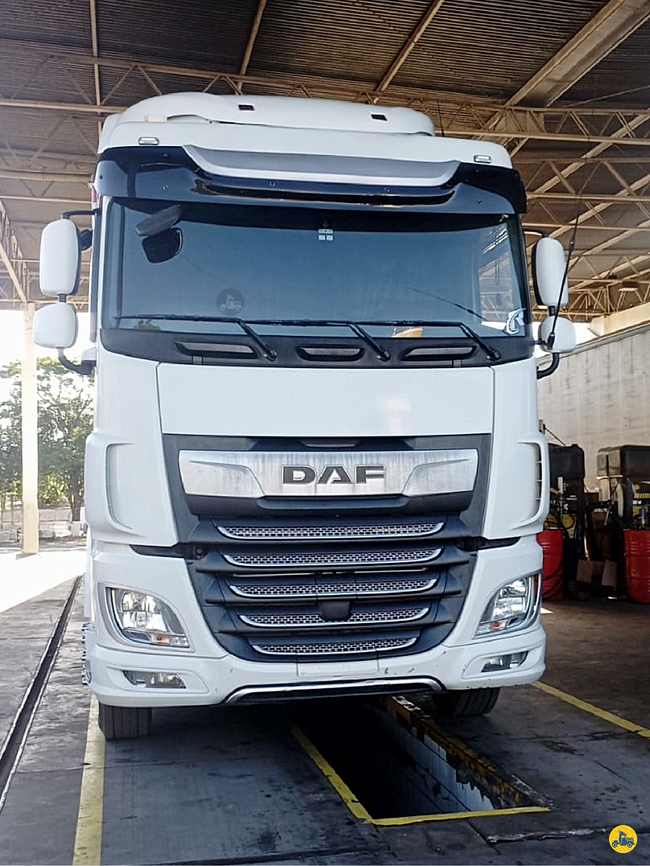 CAMINHAO DAF DAF XF 480 Cavalo Mecânico Cavalo 6x2 Paulo Mincarone Caminhões SAO PAULO SÃO PAULO SP