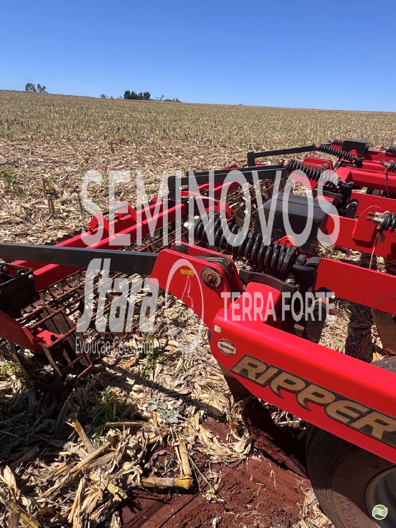 IMPLEMENTOS AGRICOLAS SCARIFICADOR 13 HASTES DISCO CORTE Terra Forte  - Stara CAMBE PARANÁ PR