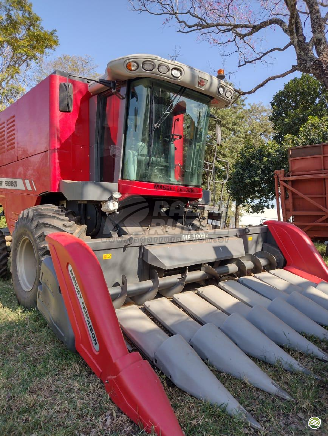 COLHEITADEIRA MASSEY FERGUSON MF 4690 Radar Rural VERA CRUZ SÃO PAULO SP