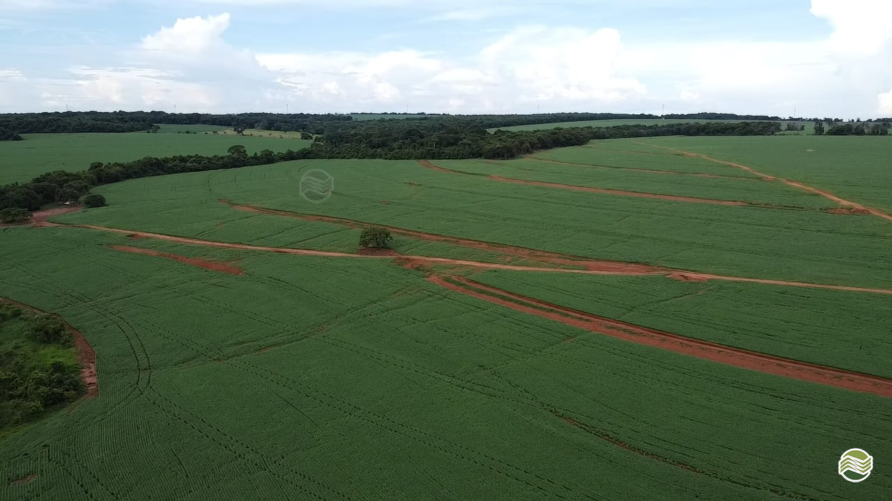 IMOVEIS IMÓVEIS FAZENDAS Radar Rural VERA CRUZ SÃO PAULO SP