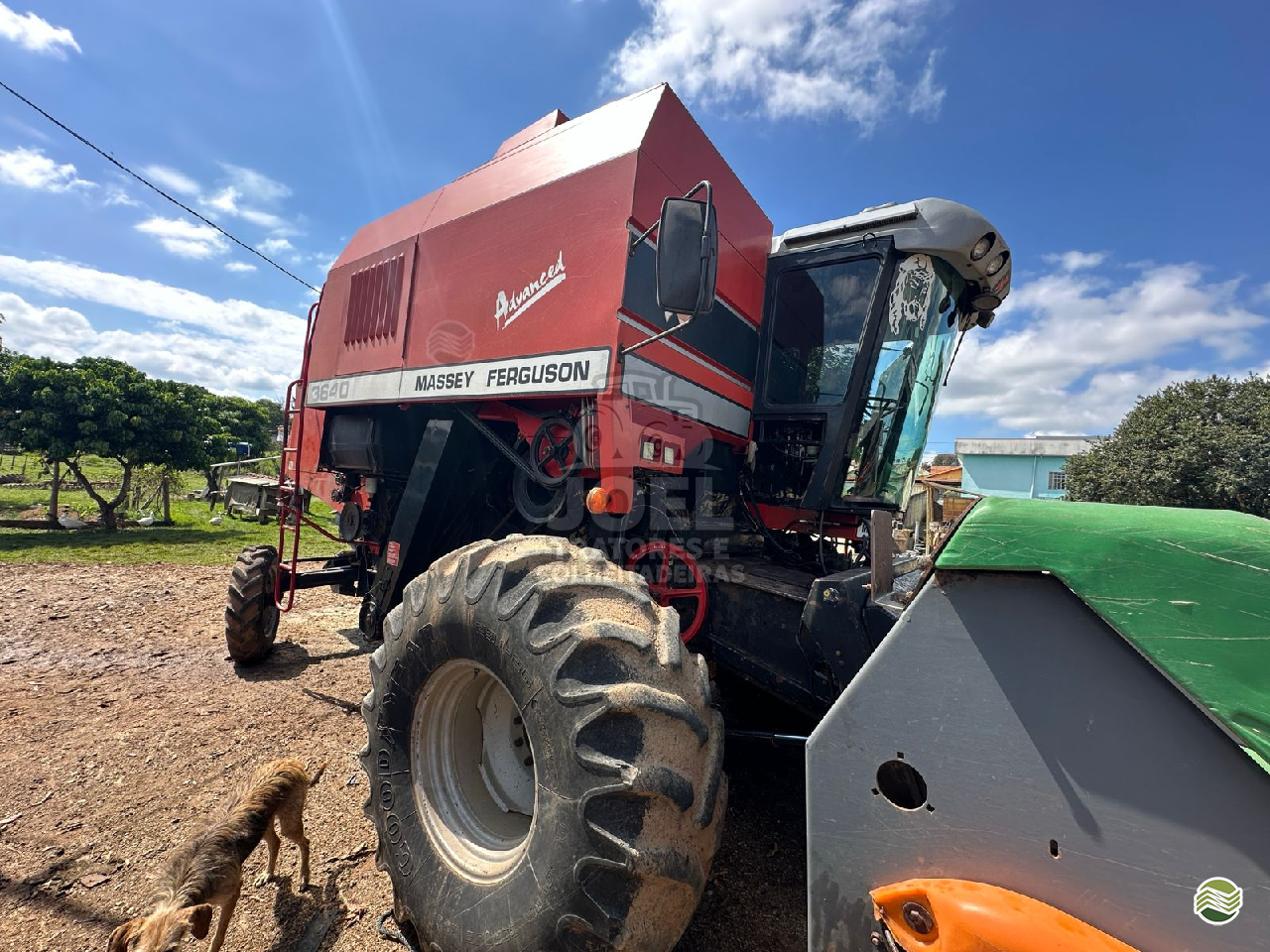 COLHEITADEIRA MASSEY FERGUSON MF 3640 Joel Tratores e Colheitadeiras ITUMBIARA GOIAS GO