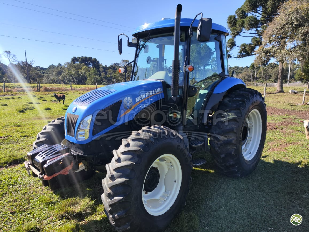 TRATOR NEW HOLLAND NEW TL5.100 Tração 4x4 Europonta IRATI PARANÁ PR