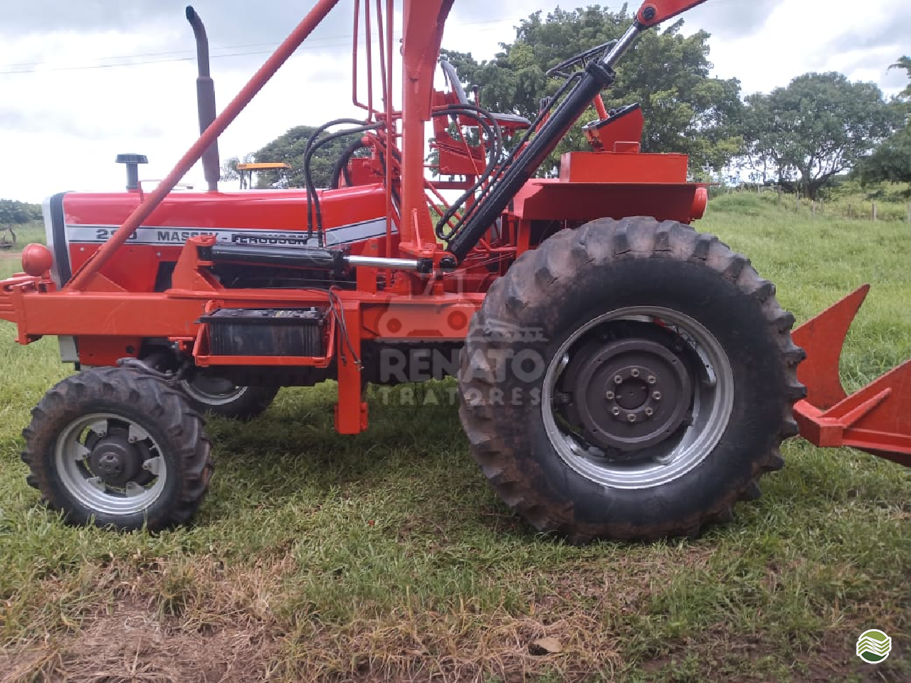 TRATOR MASSEY FERGUSON MF 290 Tração 4x2 Renato Tratores SERTAOZINHO SÃO PAULO SP