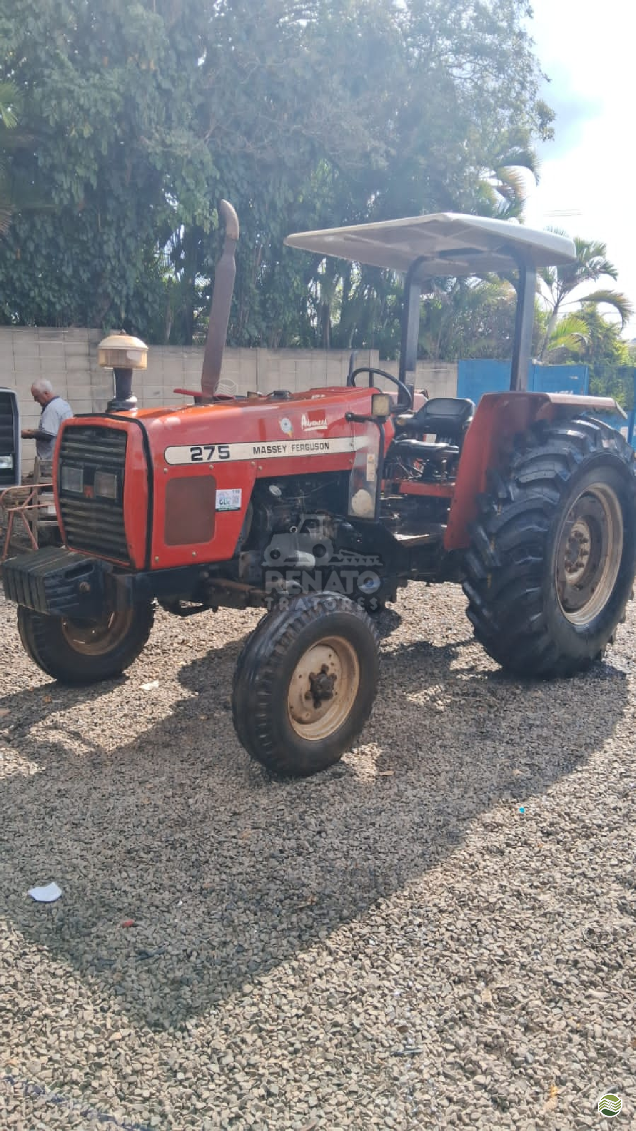 MF 275 de Renato Tratores