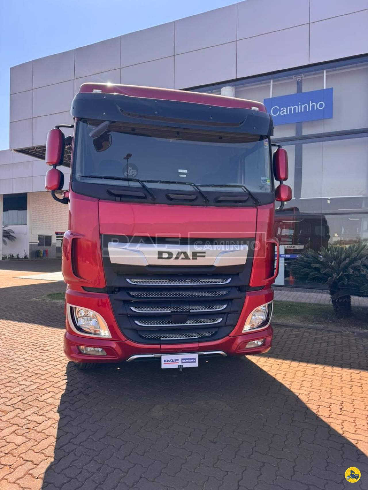 CAMINHAO DAF DAF XF FTT 530 Cavalo Mecânico Cavalo 6x4 DAF Caminho Caminhões - Ribeirão Preto RIBEIRAO PRETO SÃO PAULO SP