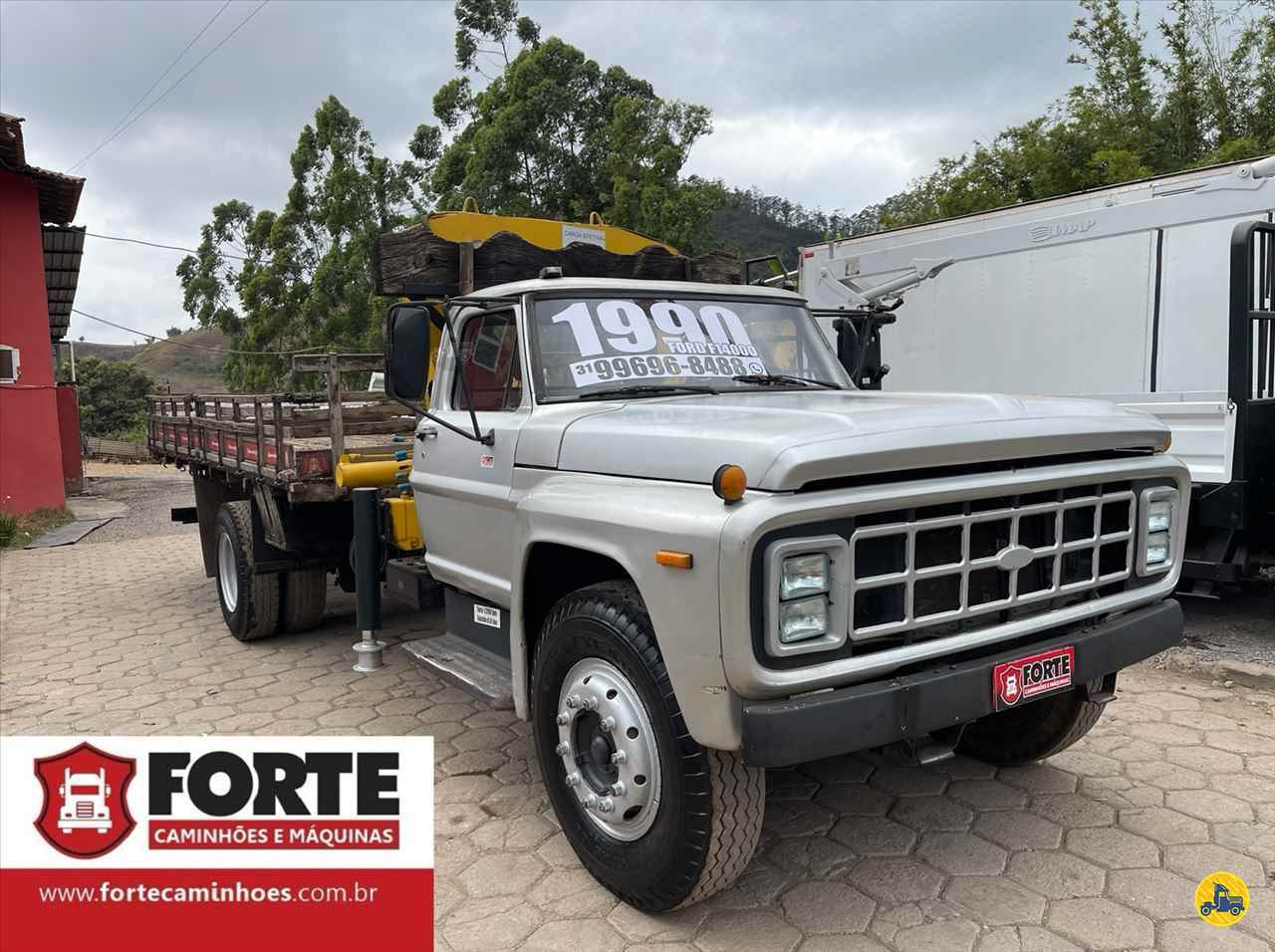 CAMINHAO FORD F14000 Carga Seca Toco 4x2 Forte Caminhões MG JOAO MONLEVADE MINAS GERAIS MG