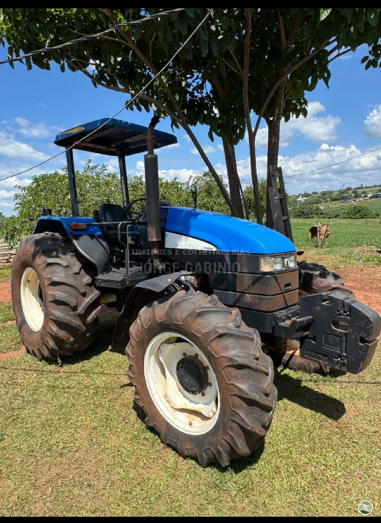 TRATOR NEW HOLLAND NEW TS 6020 Tração 4x4 Jorge Gabinio Tratores CAMPO GRANDE MATO GROSSO DO SUL MS