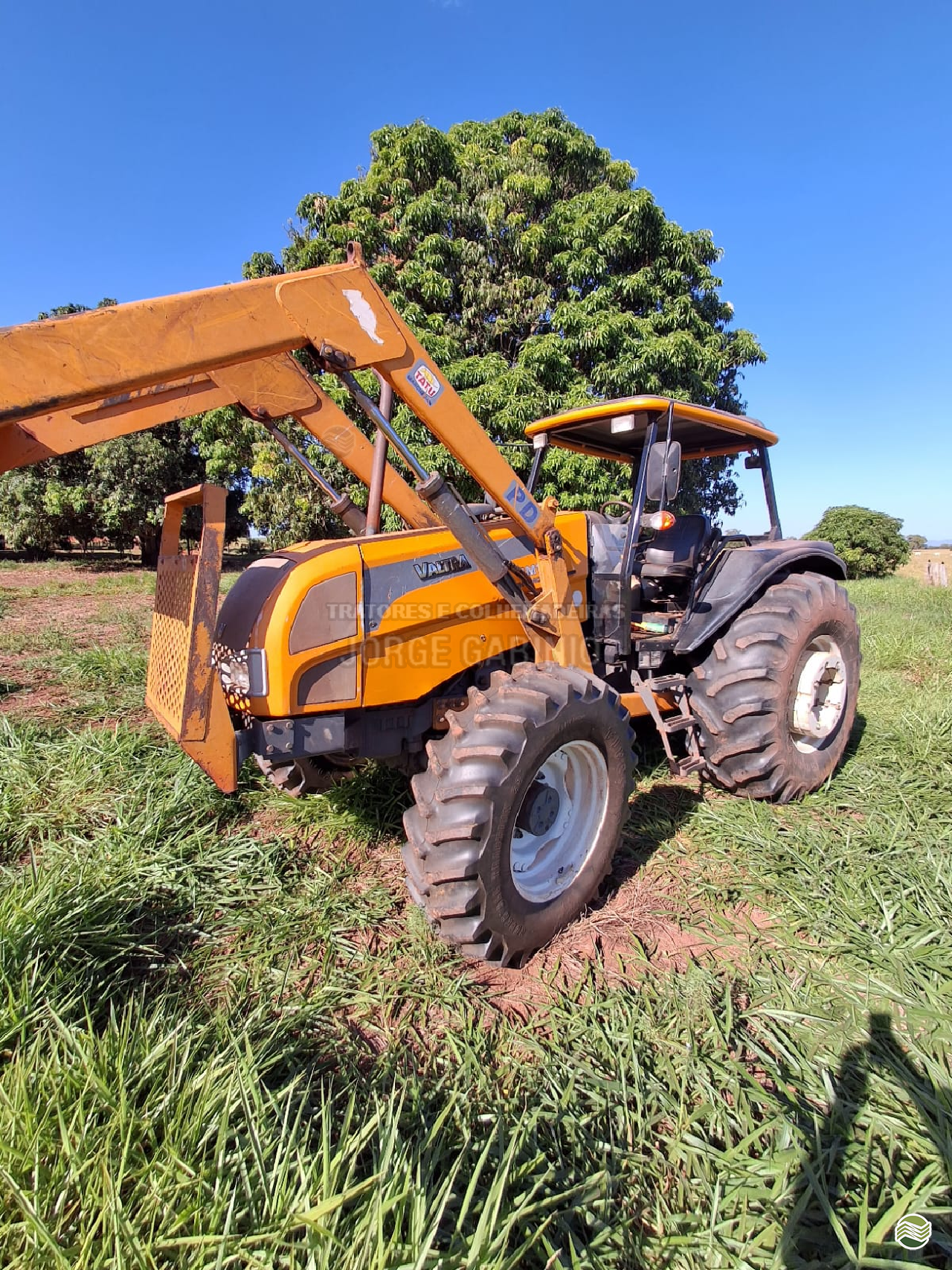 TRATOR VALTRA VALTRA BM 125 Tração 4x4 Jorge Gabinio Tratores CAMPO GRANDE MATO GROSSO DO SUL MS