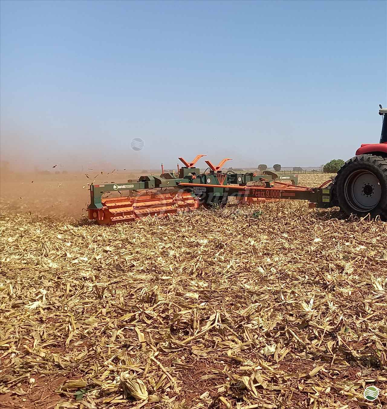 IMPLEMENTOS AGRICOLAS ROLO FACA ROLO FACA Genial Máquinas DOURADOS MATO GROSSO DO SUL MS