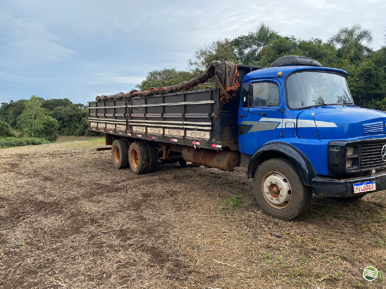 CAMINHAO MERCEDES-BENZ MB 1113 Graneleiro Truck 6x2 Agro Oliveira Máquinas IRETAMA PARANÁ PR