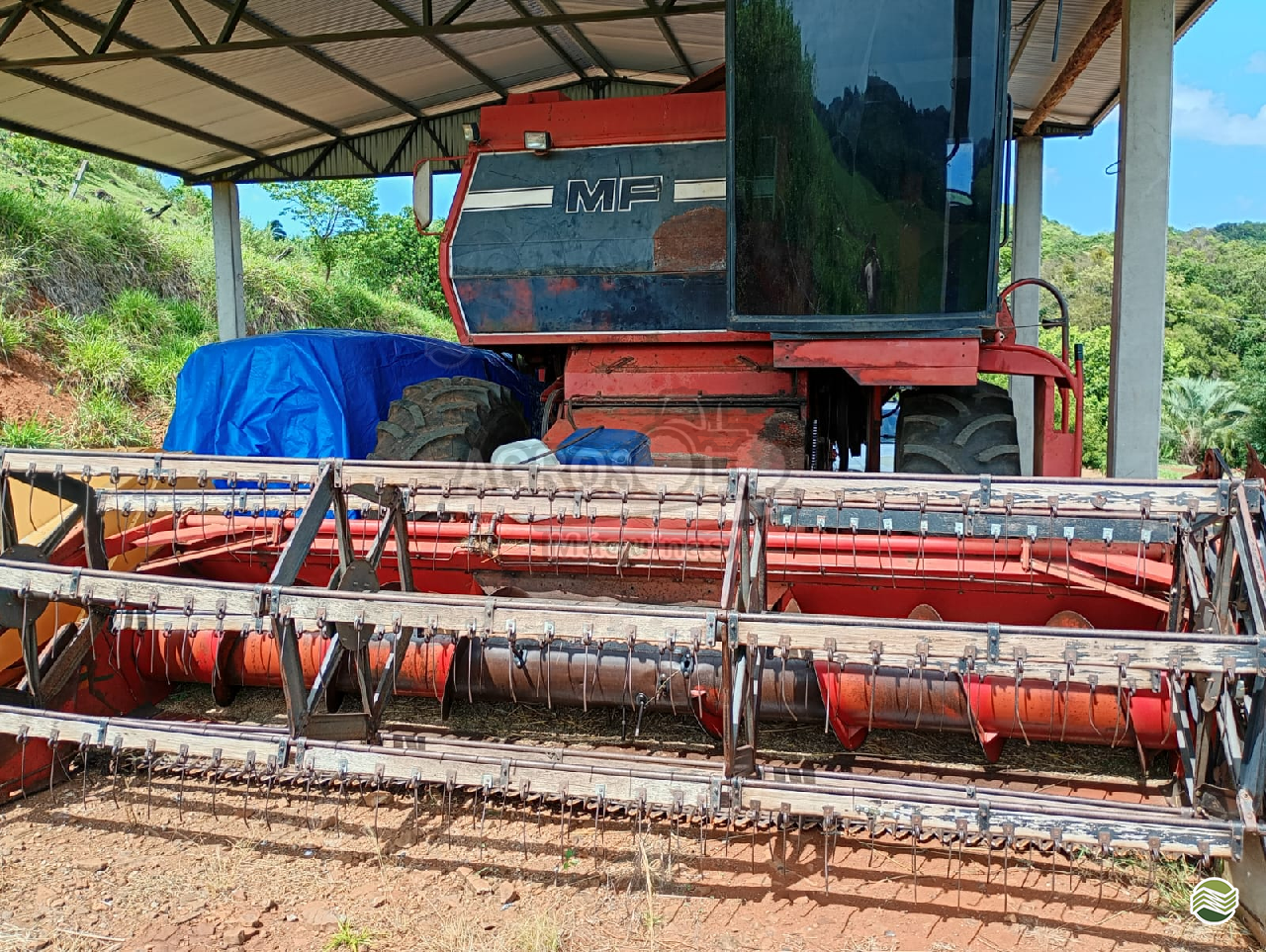 COLHEITADEIRA MASSEY FERGUSON MF 5650 Agrosolo Máquinas CHOPINZINHO PARANÁ PR