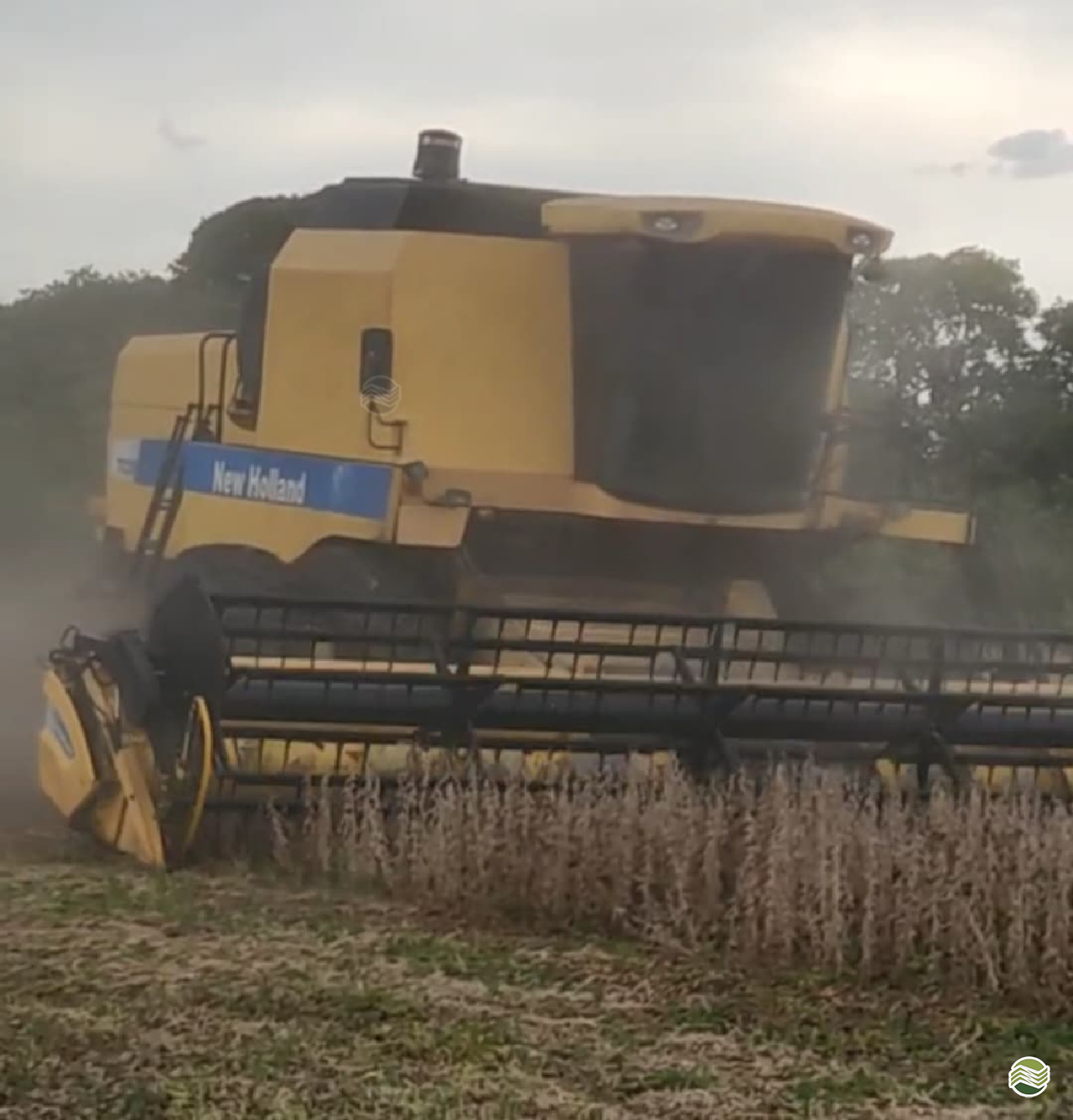 COLHEITADEIRA NEW HOLLAND TC 5090 LF Máquinas Agrícolas SP MIGUELOPOLIS SÃO PAULO SP