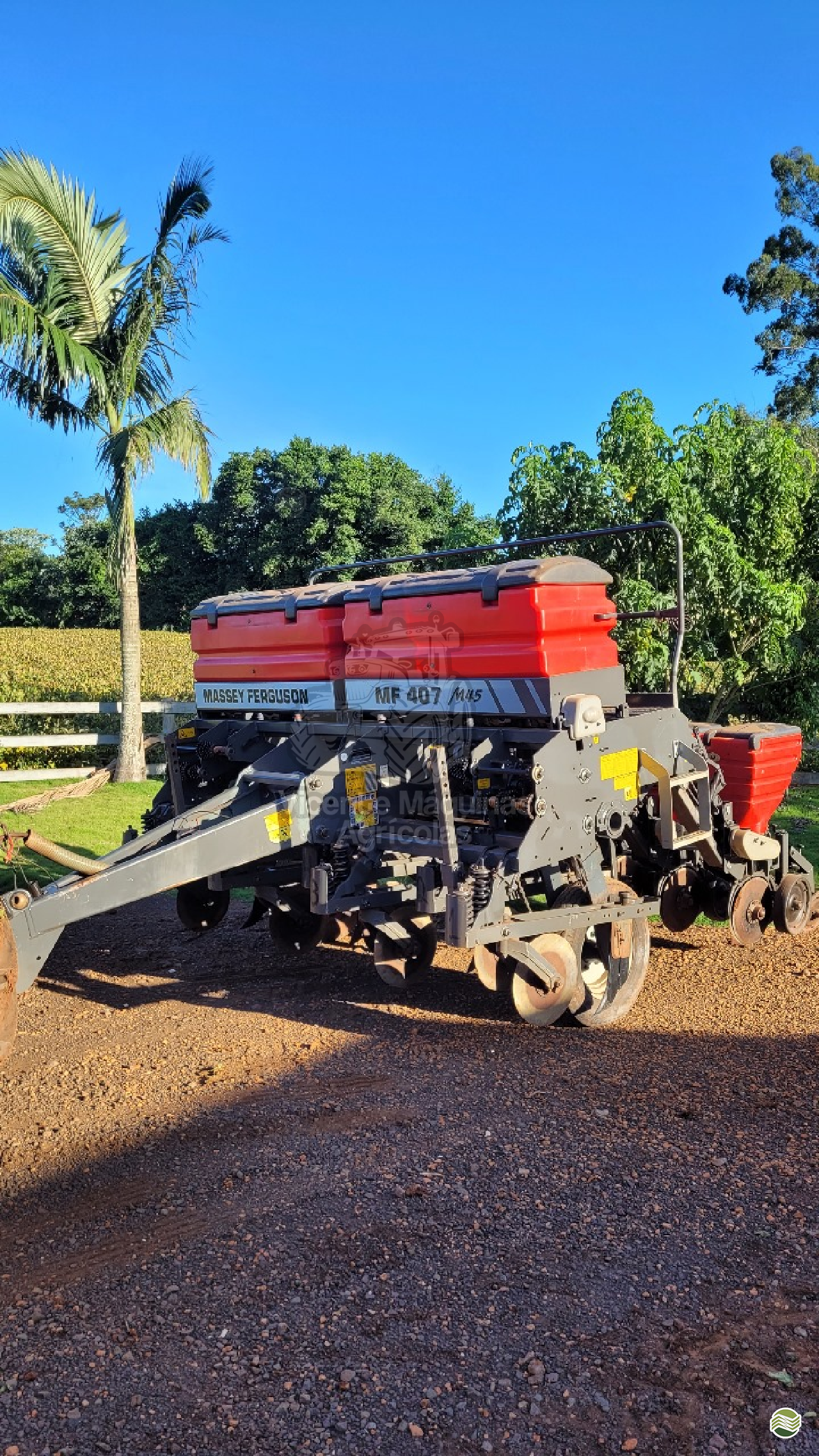 PLANTADEIRA MASSEY FERGUSON MF 407 Vicente Máquinas Agrícolas CASCAVEL PARANÁ PR