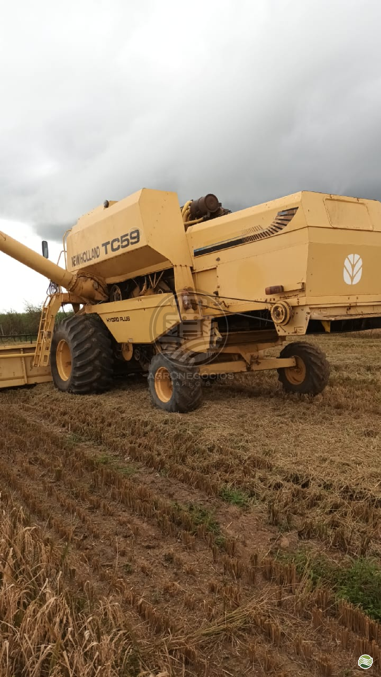 COLHEITADEIRA NEW HOLLAND TC 59 Agronegócios Parecis CAMPO NOVO DO PARECIS MATO GROSSO MT
